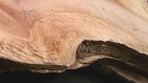 Project: Rode Plataan