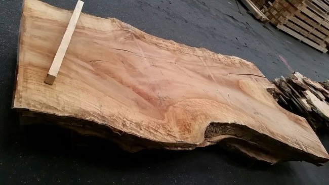 tafelblad rode plataan